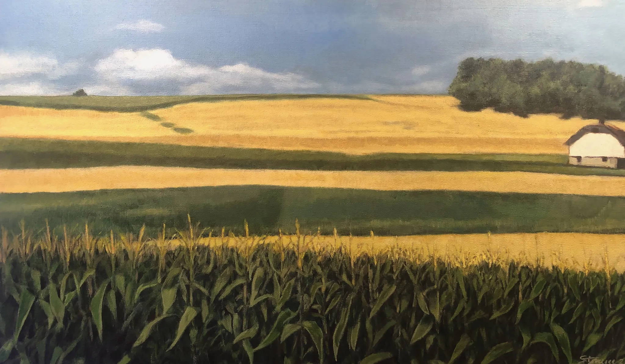 Cornfields, Berks County PA