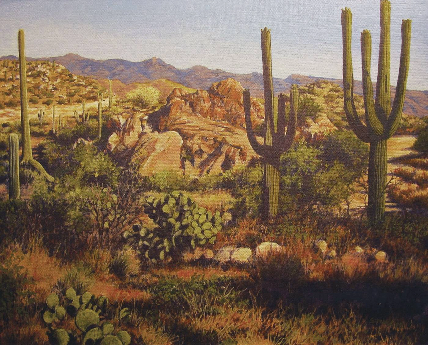 Sonoran Desert, AZ